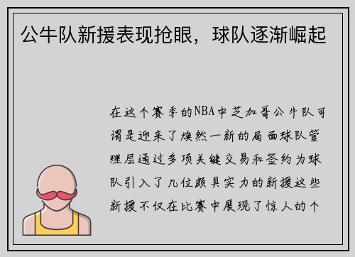 公牛队新援表现抢眼，球队逐渐崛起