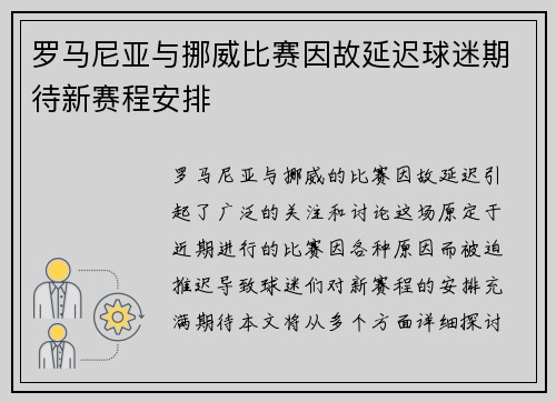 罗马尼亚与挪威比赛因故延迟球迷期待新赛程安排